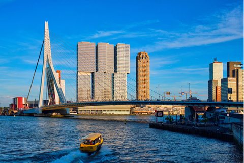 Les points forts de Rotterdam avec des locaux : Visite à pied et croisière en bateau