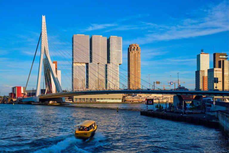 Lo mejor de Rotterdam con un local: Visita a pie y crucero en barco