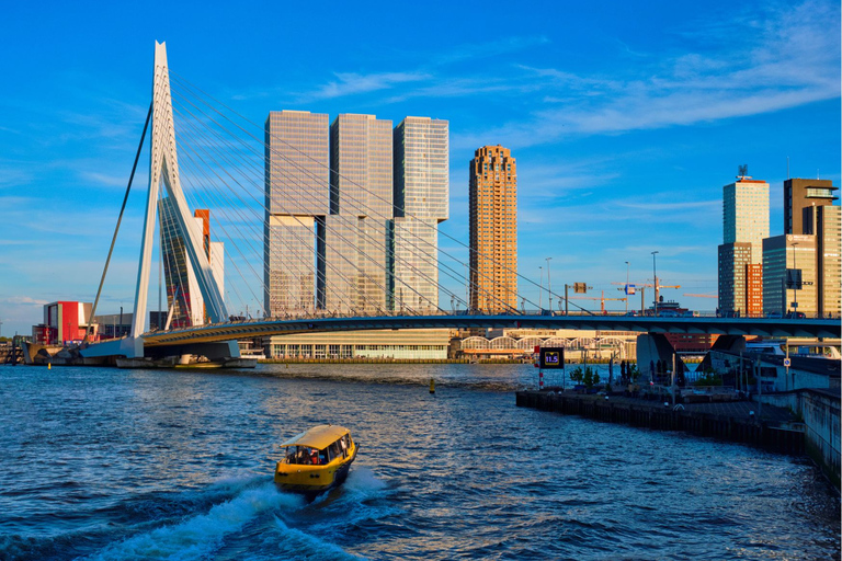 Rotterdam Highlights mit Einheimischen: Stadtrundgang & Bootsfahrt