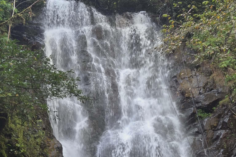 Echoes of Adjara: Mountains, Wine & Tradition