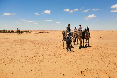 Sahara Adventure: Douz, Matmata &amp;Toujane from Djerba by jeep