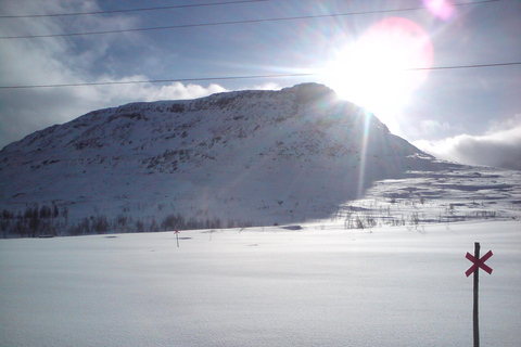Kiruna: Escursione con le racchette da neve nel Parco Nazionale di Abisko con pranzo