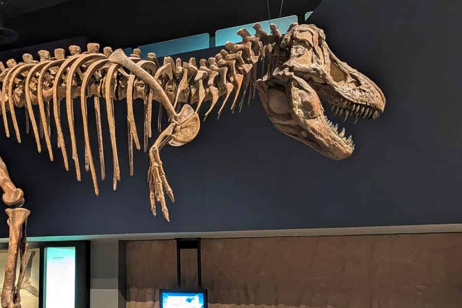 Ab Calgary: Führung in Kleingruppe durch die Drumheller Badlands. Foto: GetYourGuide