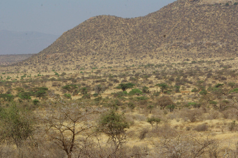 From Nairobi: 8-Day Kenya full package safari