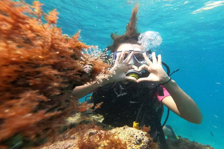 Antalya Scuba Diving Adventure w/Private Expert Diver Option Scuba Diving with Meeting At The Port