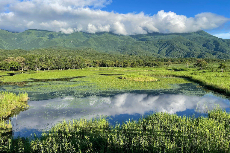 Shiretoko & Kiyosato: Five Lakes Full-Day Nature Tour