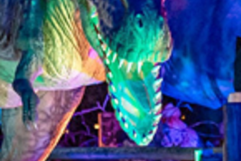 egapark Erfurt: Dino Lights egapark Erfurt: DINO LIGHTS