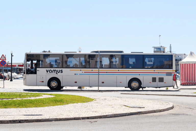 Luchthaven Faro: Comfortabele bustransfer van/naar LagosEnkele reis van Lagos naar Faro luchthaven