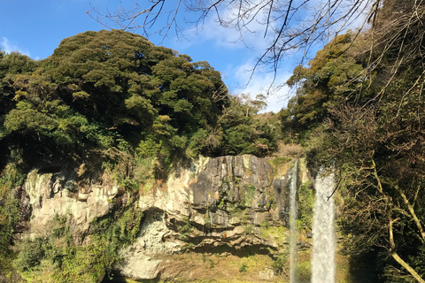 Tour en autobús por el oeste de la isla de Jeju desde la ciudad de Seogwipo, isla de JejuTour en autobús por el oeste de la isla de Jeju / Incl. alojamiento y desayuno