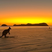 Mackay: 2-Day Adventure Package w/Accomm, Transfers & Tours
