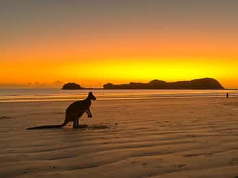Mackay: 2-Day Adventure Package w/Accomm, Transfers & Tours