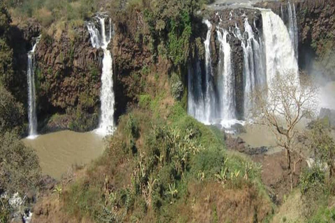2 Days / 1 Night Awash National Park Wildlife Safari