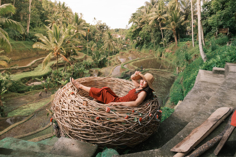 Ubud: Monkey Forest, Waterfall, and Rice Terrace Tour Private Tour Includes Entry Tickets