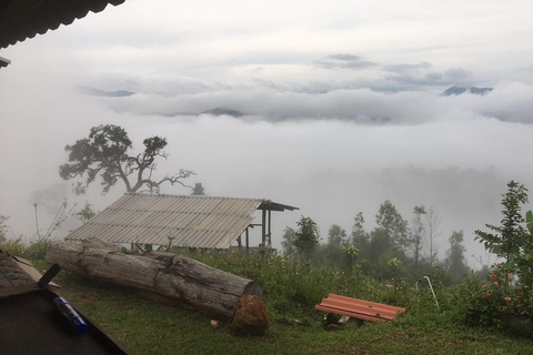 Chiang Mai: 2-dagars djungelvandring med elefantfarm och forsränning