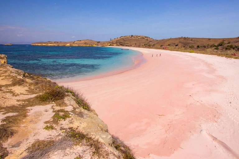 Day Trip To Komodo By Luxury Boat, Sunset & Flying Foxes