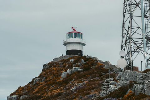 Le Cap : Visite d&#039;une jounée du Cap de Bonne Espérance et des Boulders