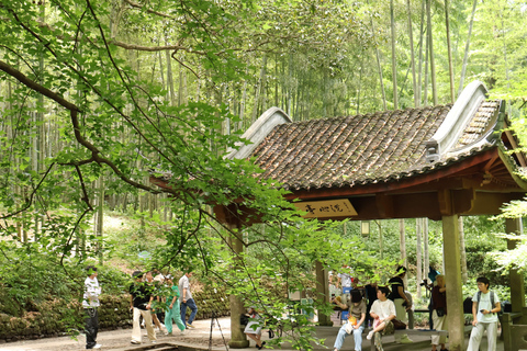 Hangzhou Half-Day: Pagoda, Bamboo Grove, and Old Street Tour