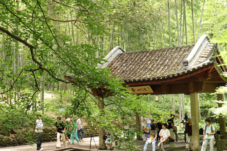 Hangzhou Half-Day: Pagoda, Bamboo Grove, and Old Street Tour