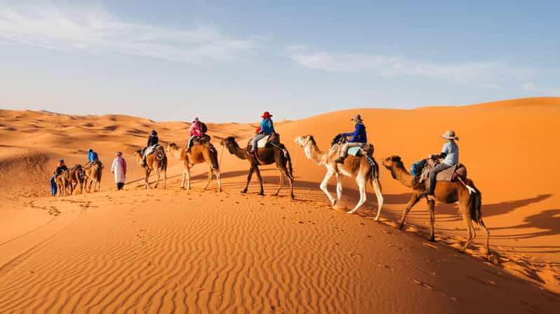 Lever/coucher du soleil à Merzouga : Véhicule AC et randonnée chamelière authentique - trekking