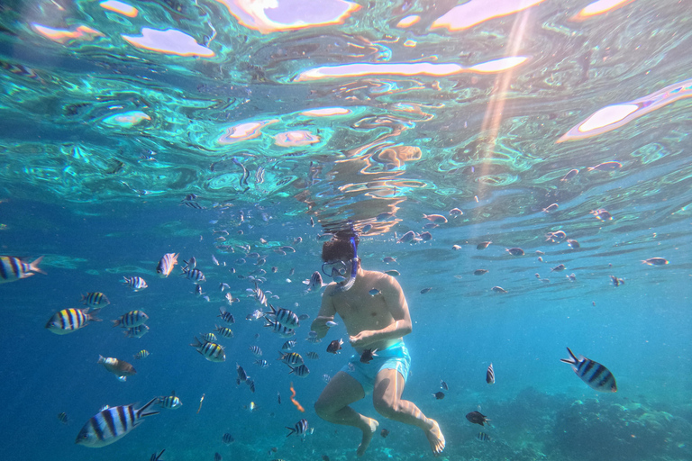 From Cebu: Island Hopping to 3 islands with BBQ lunch Shared Group Tour