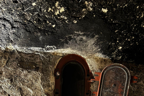 Châteauneuf-du-Pape: Full-day wine tour with sommelier