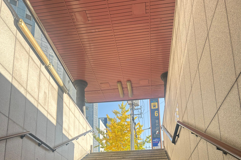 Busan: Beomeosa Temple Tour with Meal and Hike Option