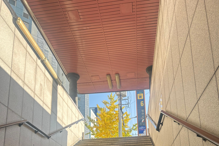 Busan: Beomeosa Temple Tour with Meal and Hike Option