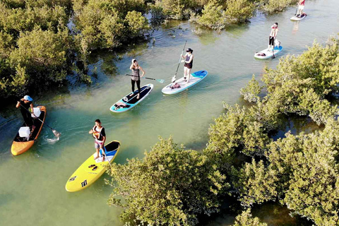 Al Khor: Kajakpaddling i mangroveskogen