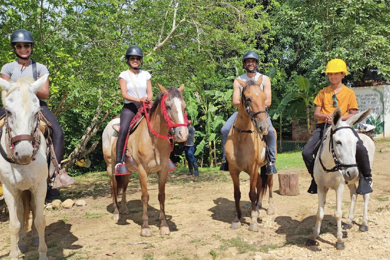 UTV & Horseback Tour with Wildlife Views from Cartagena