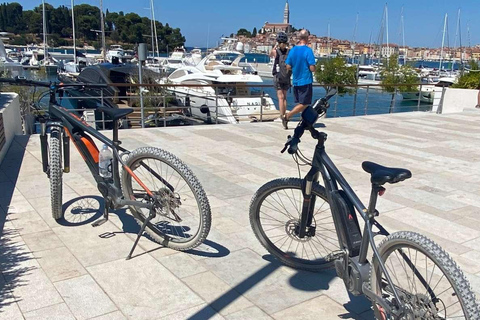 Tour privé à vélo avec prise en charge et retour depuis Zurich