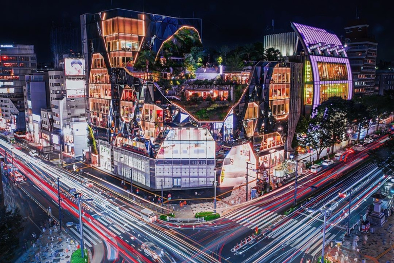 Tokyo Full Day Private Sightseeing Tour with English Driver