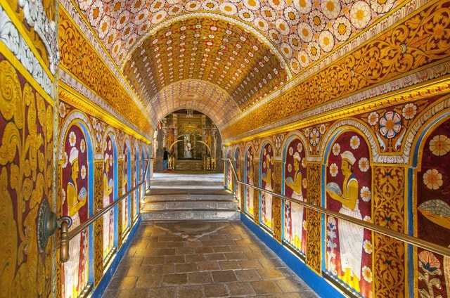 Kandy: Private Day Tour to Temple of the Tooth, Tea Factory