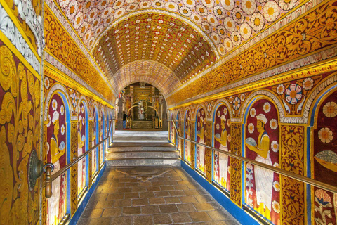 Colombo: Kandy Day Tour, Temple of the Tooth, Tea Factory Mirissa, Hiriketiya pick up area