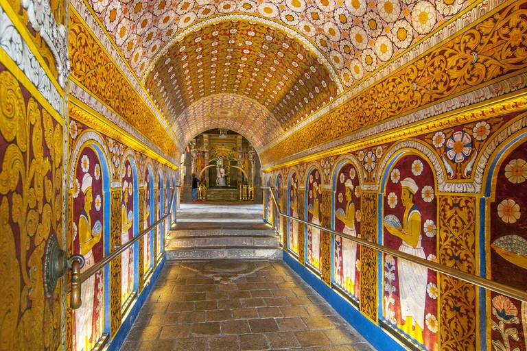 Colombo: Kandy Day Tour, Temple of the Tooth, Tea Factory Mirissa, Hiriketiya pick up area