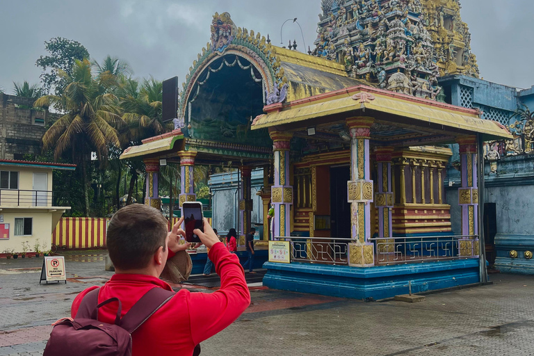 Kandy: Sigiriya Rock & Dambulla Cave Temple adventure tour