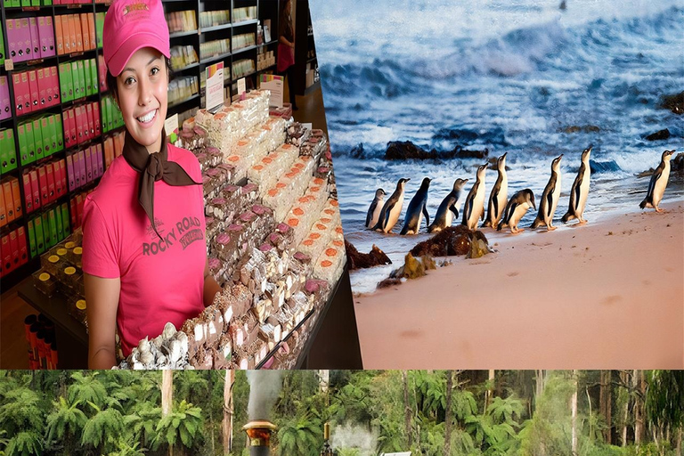 墨尔本蒸汽火车+企鹅观赏+亚拉谷葡萄酒巧克力之旅墨尔本企鹅游行、亚拉河谷葡萄酒美食与考拉之旅