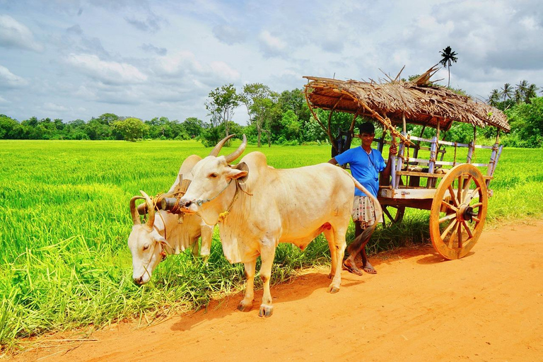 Bentota dorpstour, riviersafari met Westcoast