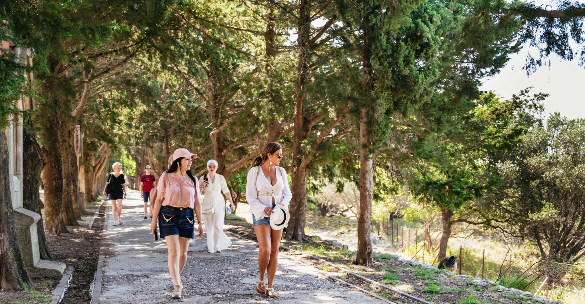 Rhodes: Filerimos Hill and Butterfly Valley Bus Trip photo 8