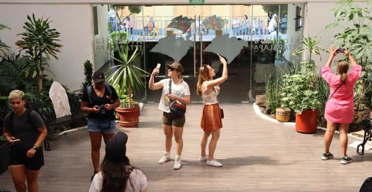 Mexico City: City Highlights Cable Car Ride w/ Taco & Tour photo 4