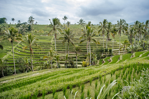 Bali: UNESCO World Heritage Sites Small Group TourStandard Group Tour without Entrance Fees from South Bali