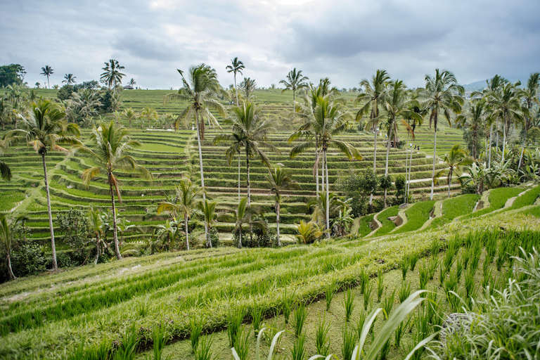 Bali: UNESCO World Heritage Sites Small Group Tour Private Tour with Entrance Fees