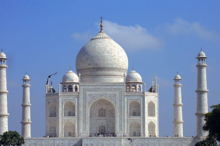 Delhi: Private 5 Days Golden Triangle Tour With Tiger SafariCar and Guide (No Entrance - No Meal - No Tickets)