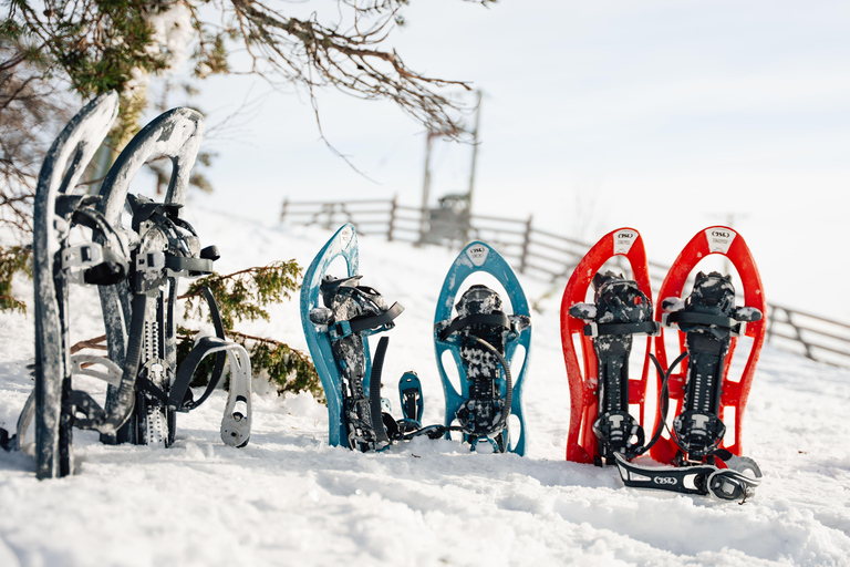Levi: Snowshoeing Tour to Santa's Cabin with Sausage BBQ