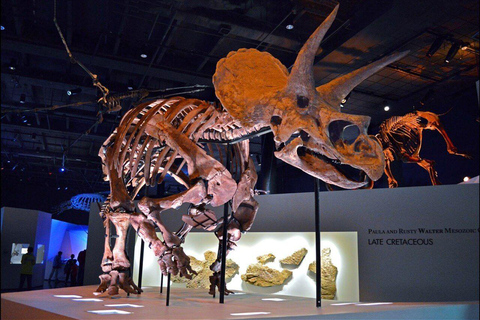 Houston: Museum of Natural Science Ticket & Audio Tour Houston: Museum of Natural Science Ticket & Audio Tour (FR)