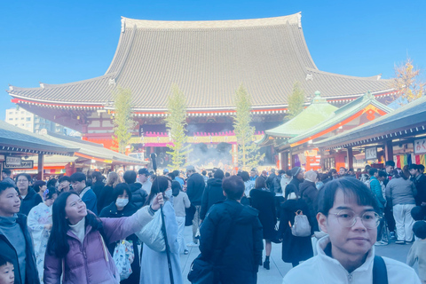 Tokyo Private Luxury City Tour with Professional Guide