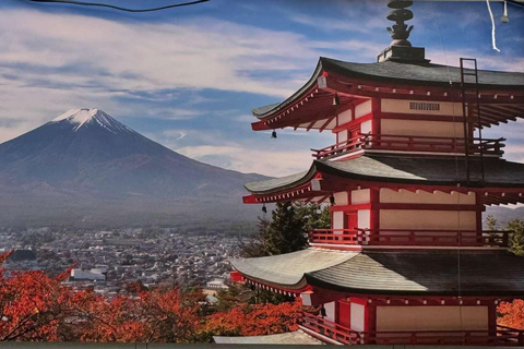 From Tokyo : Mount Fuji Private Day Trip with Hotel Pickup Mount Fuji & Hakone Customize Tour With English Guide