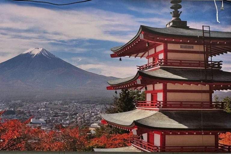 From Tokyo : Mount Fuji Private Day Trip with Hotel Pickup Mount Fuji & Hakone Customize Tour With English Guide