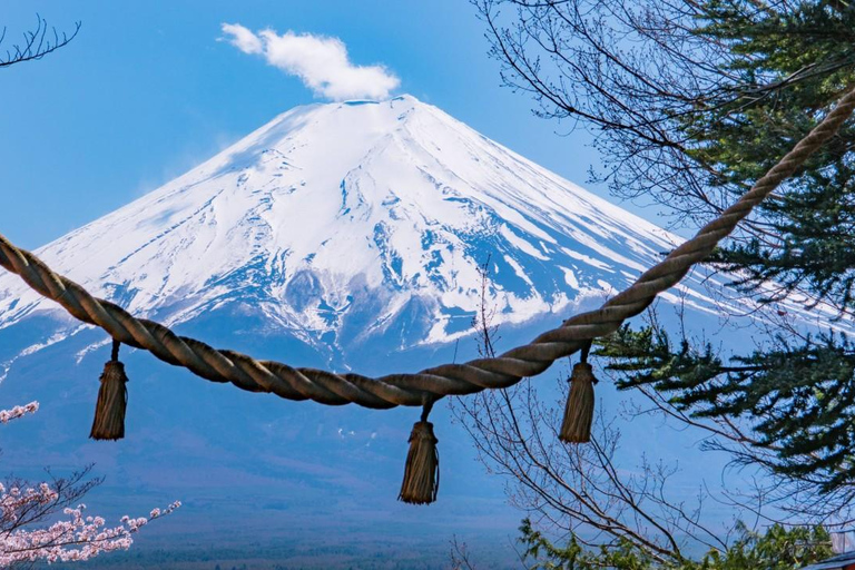 Tokyo: Fuji Fuji-berget, Arakura Sengen Park, Oshino Hakkai BussturFrån Shinjuku till Fuji-berget kl. 8:30