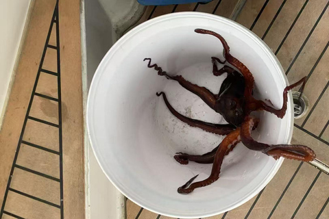 Hobart 3-Hour Fishing Yacht Cruise with Gear & Bait
