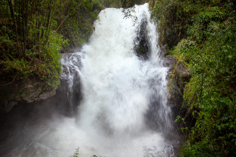 Addis Ababa: 4-Day Bale Mountains Adventure Tour